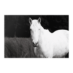 Load image into Gallery viewer, Name_10_Poster_8x12_Flat_H_Mockup.png_15705306
