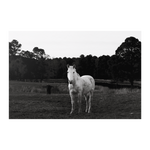 Load image into Gallery viewer, Name_15_Poster_8x12_Flat_H_Mockup.png_15705326
