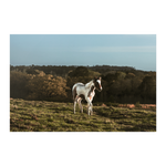 Load image into Gallery viewer, Name_16_Poster_8x12_Flat_H_Mockup.png_15705350
