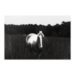 Load image into Gallery viewer, Name_2_Poster_8x12_Flat_H_Mockup.png_15703676
