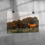 Load image into Gallery viewer, Name_31_Poster_20x30_Angle_H_Mockup.png_15705437
