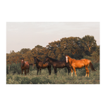 Load image into Gallery viewer, Name_31_Poster_20x30_Flat_H_Mockup.png_15705438
