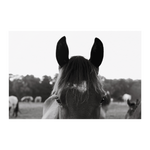 Load image into Gallery viewer, Name_39_Poster_8x12_Flat_H_Mockup.png_15709221

