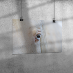 Load image into Gallery viewer, Name_3_Poster_12x18_Angle_H_Mockup.png_15705178
