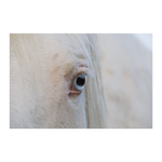 Load image into Gallery viewer, Name_3_Poster_12x18_Flat_H_Mockup.png_15705179
