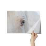 Load image into Gallery viewer, Name_3_Poster_8x12_Hand_H_Mockup.png_15705176
