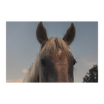 Load image into Gallery viewer, Name_44_Poster_20x30_Flat_H_Mockup.png_15709430
