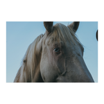 Load image into Gallery viewer, Name_44_Poster_8x12_Flat_H_Mockup.png_15709313
