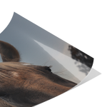 Load image into Gallery viewer, Name_44_Poster_8x12_Fold_H_Mockup.png_15709416

