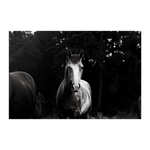 Load image into Gallery viewer, Name_46_Poster_12x18_Flat_H_Mockup.png_15709451
