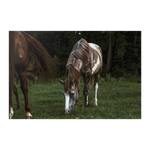 Load image into Gallery viewer, Name_46_Poster_20x30_Flat_H_Mockup.png_15709523
