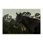 Load image into Gallery viewer, Name_50_Poster_12x18_Flat_H_Mockup.png_15709564
