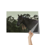Load image into Gallery viewer, Name_50_Poster_12x18_Hand_H_Mockup.png_15709566
