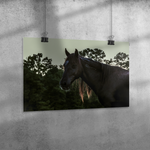 Load image into Gallery viewer, Name_50_Poster_20x30_Angle_H_Mockup.png_15709573
