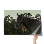 Load image into Gallery viewer, Name_50_Poster_20x30_Hand_H_Mockup.png_15709576
