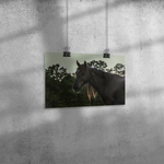 Load image into Gallery viewer, Name_50_Poster_8x12_Angle_H_Mockup.png_15709558

