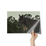 Load image into Gallery viewer, Name_50_Poster_8x12_Hand_H_Mockup.png_15709561
