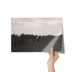 Load image into Gallery viewer, Name_52_Poster_8x12_Hand_H_Mockup.png_15709606
