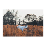 Load image into Gallery viewer, Name_5_Poster_8x12_Flat_H_Mockup.png_15705233
