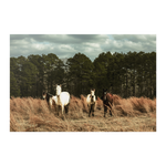 Load image into Gallery viewer, Name_9_Poster_8x12_Flat_H_Mockup.png_15705286
