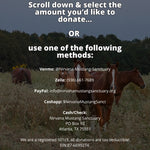 Load image into Gallery viewer, $4,088 Raised Towards $30,000 Match

