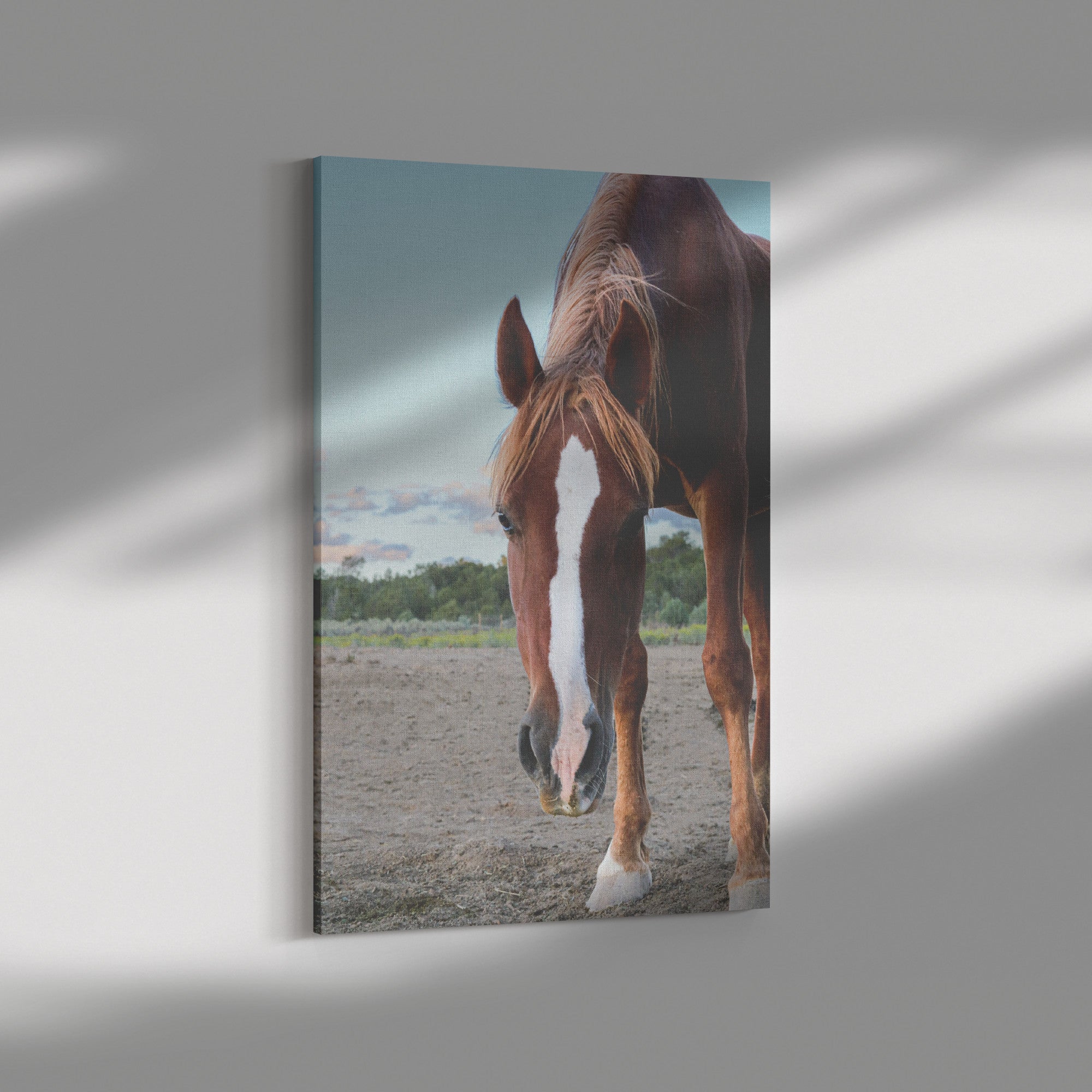 "Sirocco" Canvas Wall Hanging
