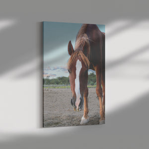 "Sirocco" Canvas Wall Hanging
