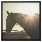 Load image into Gallery viewer, Square_11_Canvas_Framed_Canvas_Square_Main_Mockup.png_15703445
