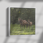 Load image into Gallery viewer, Square_13_Canvas_Framed_Canvas_Square_Dramatic_Shadow_Mockup.png_15703460
