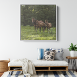 Load image into Gallery viewer, Square_13_Canvas_Framed_Canvas_Square_Large_Lifestyle_Mockup.png_15703461
