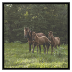 Load image into Gallery viewer, Square_13_Canvas_Framed_Canvas_Square_Main_Mockup.png_15703459
