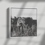 Load image into Gallery viewer, Square_14_Canvas_Framed_Canvas_Square_Dramatic_Shadow_Mockup.png_15703468
