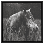 Load image into Gallery viewer, Square_1_Canvas_Framed_Canvas_Square_Main_Mockup.png_15703303
