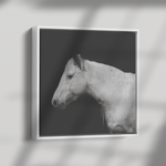 Load image into Gallery viewer, Square_2_Canvas_Framed_Canvas_Square_Dramatic_Shadow_Mockup.png_15703318
