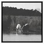 Load image into Gallery viewer, Square_3_Canvas_Framed_Canvas_Square_Main_Mockup.png_15703325
