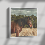 Load image into Gallery viewer, Square_4_Canvas_Framed_Canvas_Square_Dramatic_Shadow_Mockup.png_15703333
