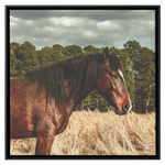 Load image into Gallery viewer, Square_4_Canvas_Framed_Canvas_Square_Main_Mockup.png_15703332
