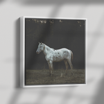Load image into Gallery viewer, Square_5_Canvas_Framed_Canvas_Square_Dramatic_Shadow_Mockup.png_15703340
