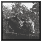 Load image into Gallery viewer, Square_7_Canvas_Framed_Canvas_Square_Main_Mockup.png_15703355
