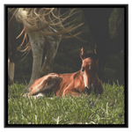 Load image into Gallery viewer, Square_8_Canvas_Framed_Canvas_Square_Main_Mockup.png_15703362
