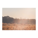 Load image into Gallery viewer, Sunbeam_Meadow_Poster_8x12_Flat_H_Mockup.png_15705145
