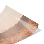 Load image into Gallery viewer, Sunbeam_Meadow_Poster_8x12_Fold_H_Mockup.png_15705146
