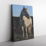 Load image into Gallery viewer, Yang
