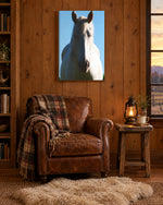 Load image into Gallery viewer, Between Sun and Shadow canvas print
