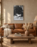 Load image into Gallery viewer, Chasing Freedom canvas print
