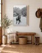 Load image into Gallery viewer, Casting Shadows canvas print
