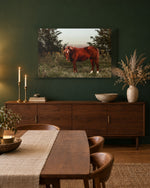 Load image into Gallery viewer, Ember in the Field canvas print
