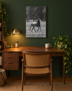 Load image into Gallery viewer, Eyes on Freedom canvas print
