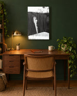 Load image into Gallery viewer, Feather and Freedon canvas print
