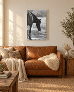 Load image into Gallery viewer, Feathers of the Wild canvas print
